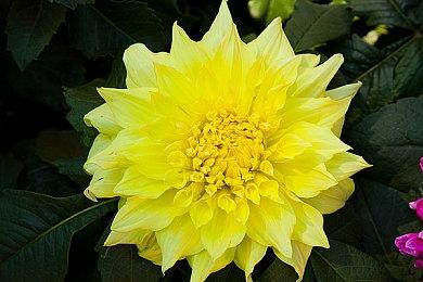 CRPG《破碎之路》上架Steam 2023年发售